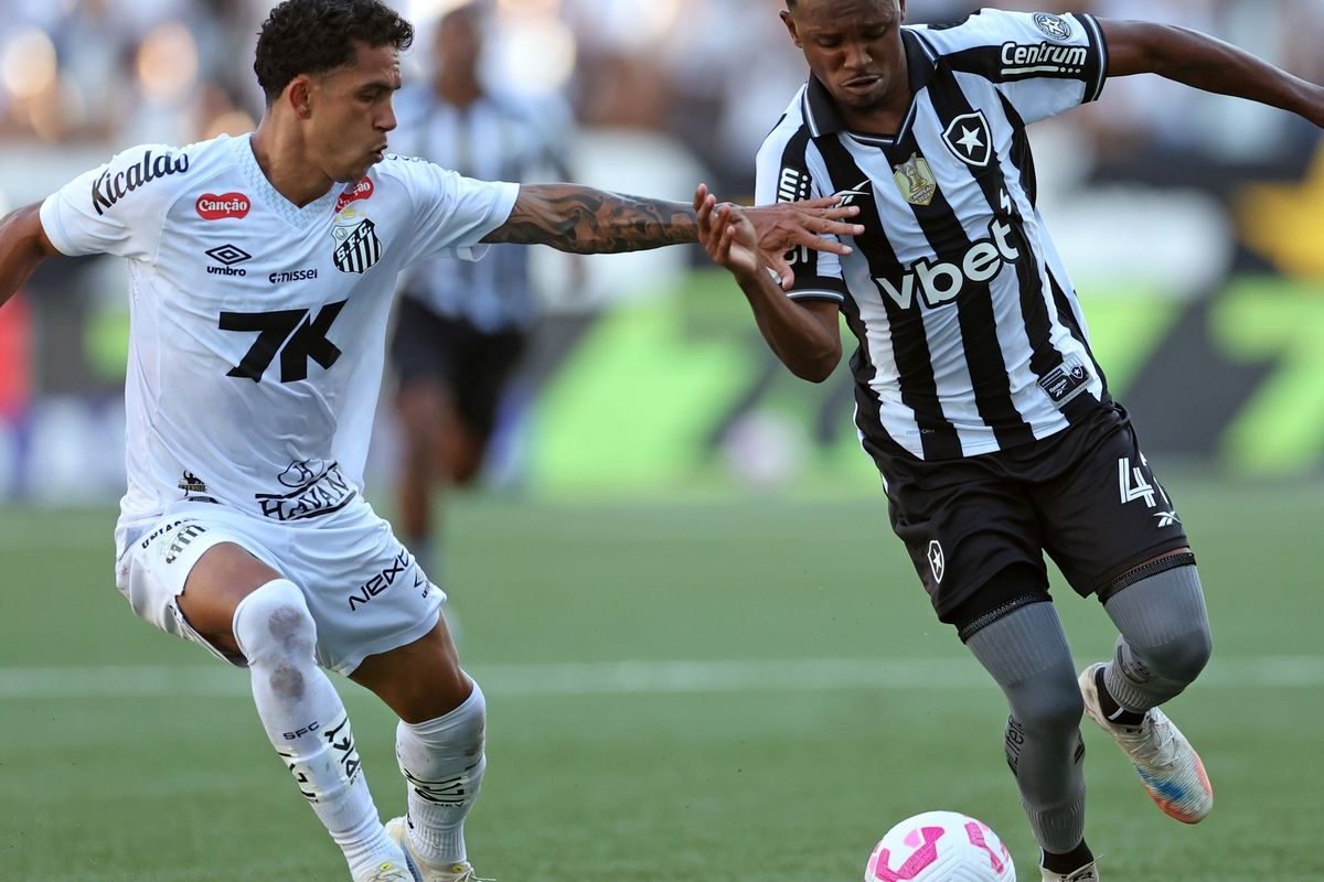 © Vitor Silva/Botafogo