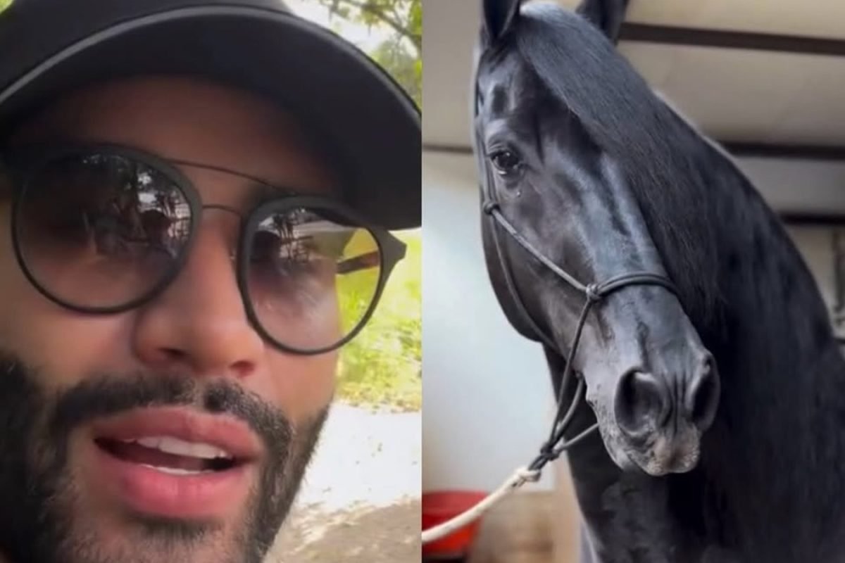 SaveClip.App_598703405_18559494523045186_4978705118236508412_n