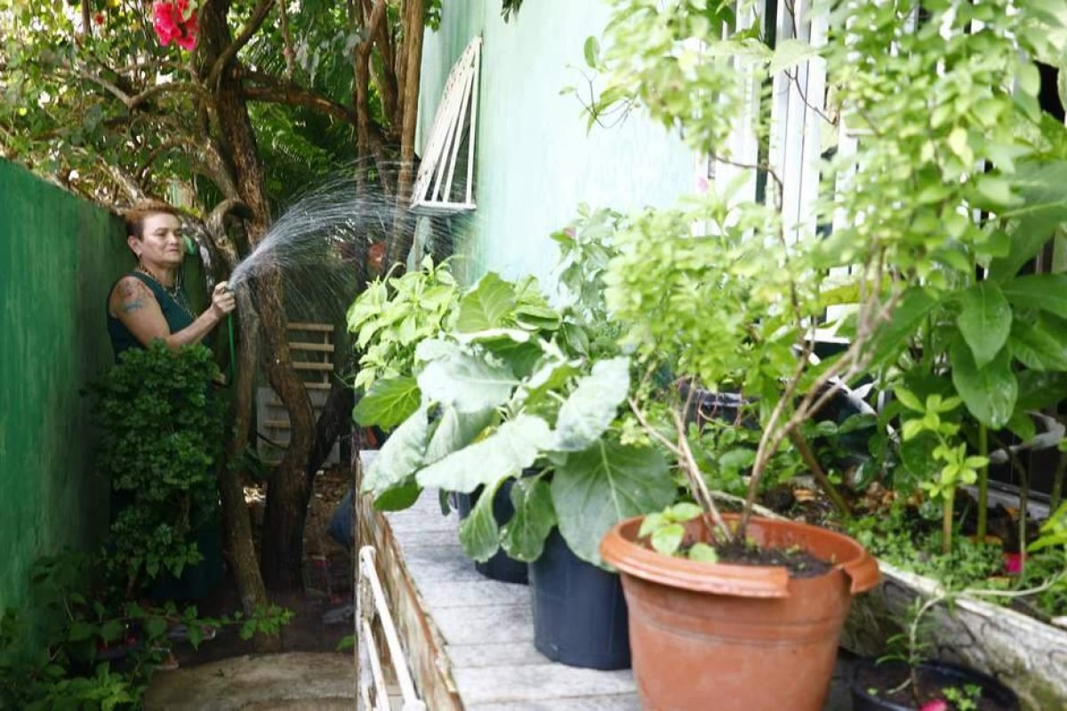 Bruno Roberto | Especial para O Liberal e Ayla Ferreira*