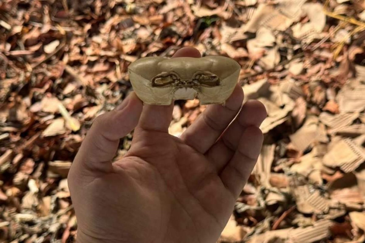 Filipe Sanches | Especial para O Liberal