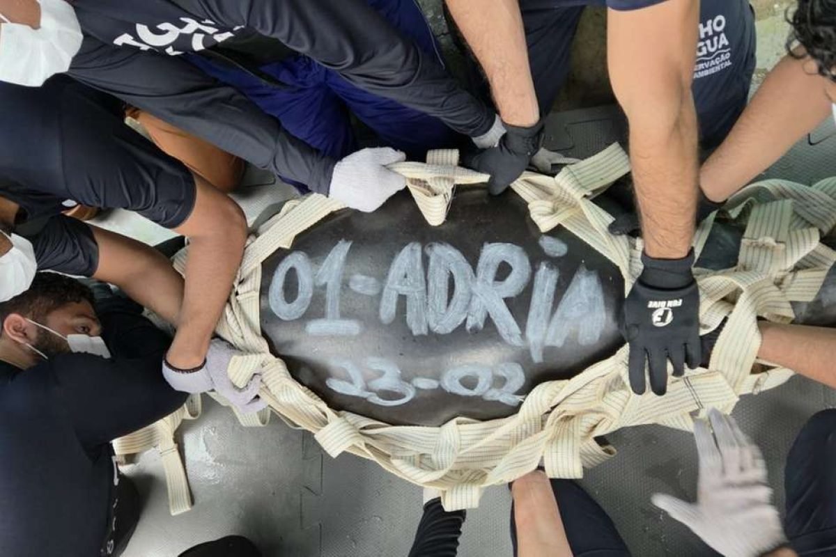 Fernando Assunção (Especial para O Liberal)