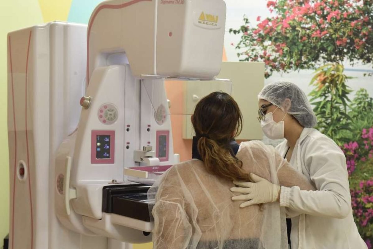 Bruno Roberto | Especial para O Liberal