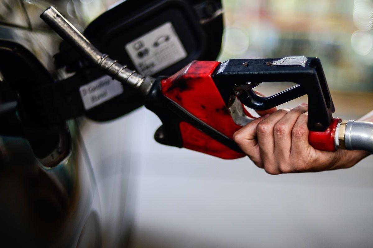 Criado com LabNews Pro