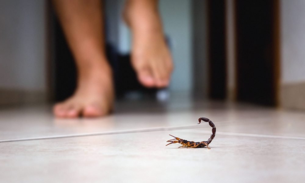 "}@media(min-width:64rem){.content-top-image .rights-holder{padding-left:0}}.mc-summary{--glb-sp-col-mg-bottom:var(--glb