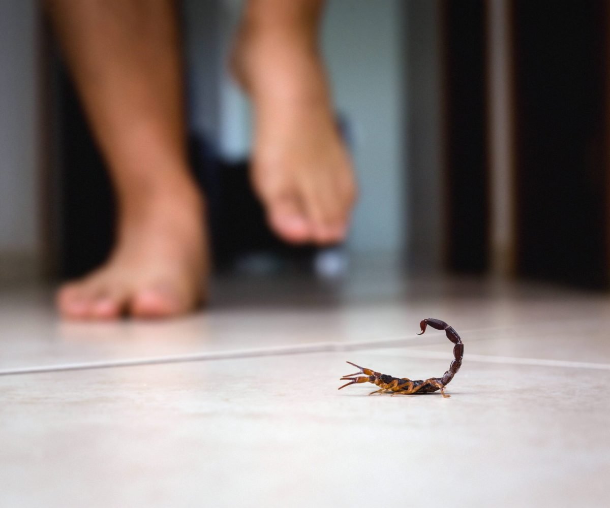 "}@media(min-width:64rem){.content-top-image .rights-holder{padding-left:0}}.mc-summary{--glb-sp-col-mg-bottom:var(--glb