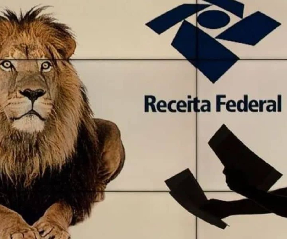 Declaração do Imposto de Renda em 2024 já chegou ao fim (Reprodução: Internet)