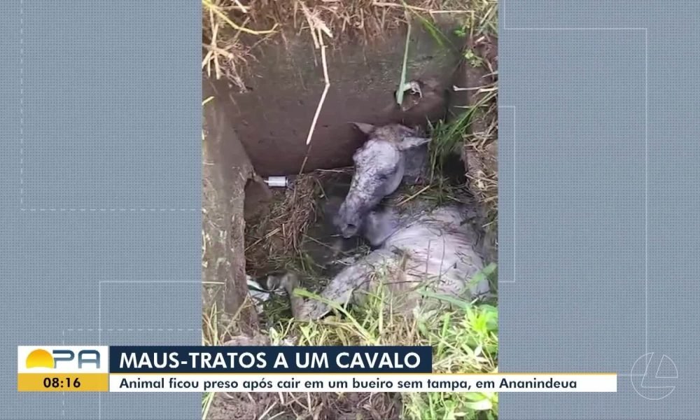 oficial-wagner-moura-instagram.ghtml","video":null},"created":"2026-03-16T02:00:52.700Z","draft":false,"feedId":"b904b43