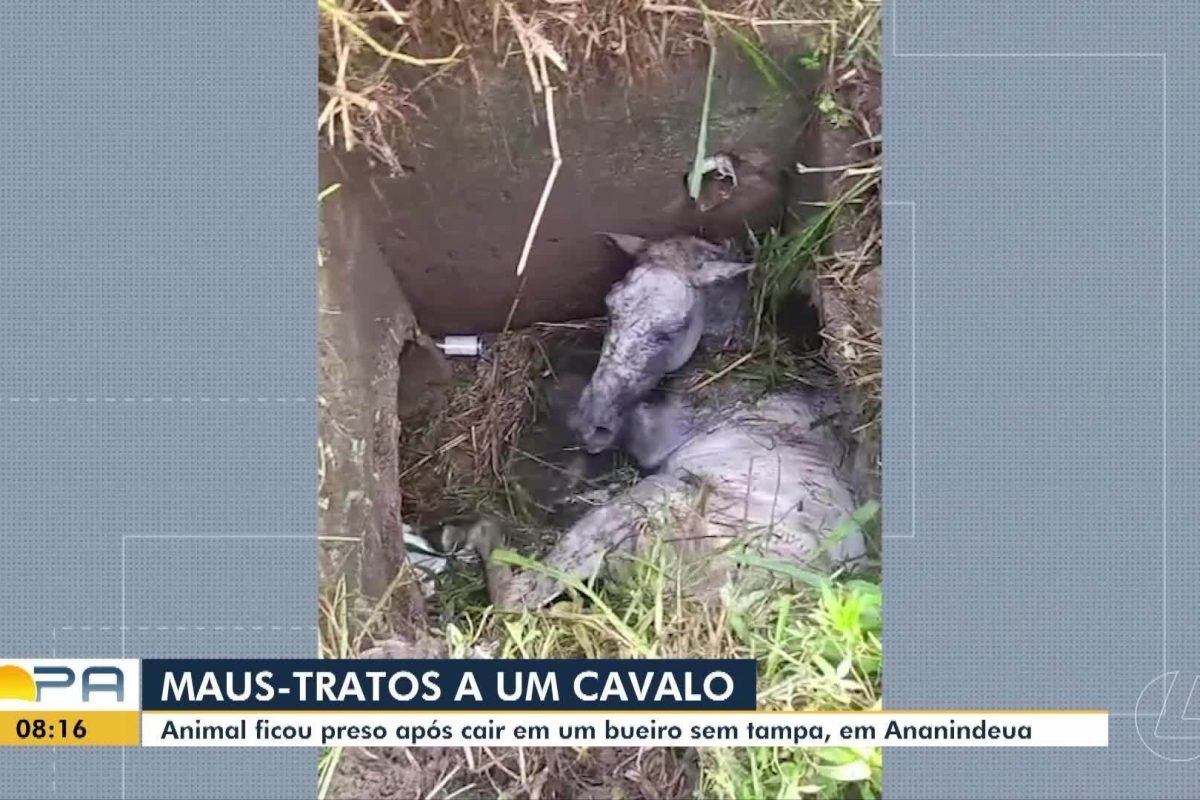 oficial-wagner-moura-instagram.ghtml","video":null},"created":"2026-03-16T02:00:52.700Z","draft":false,"feedId":"b904b43