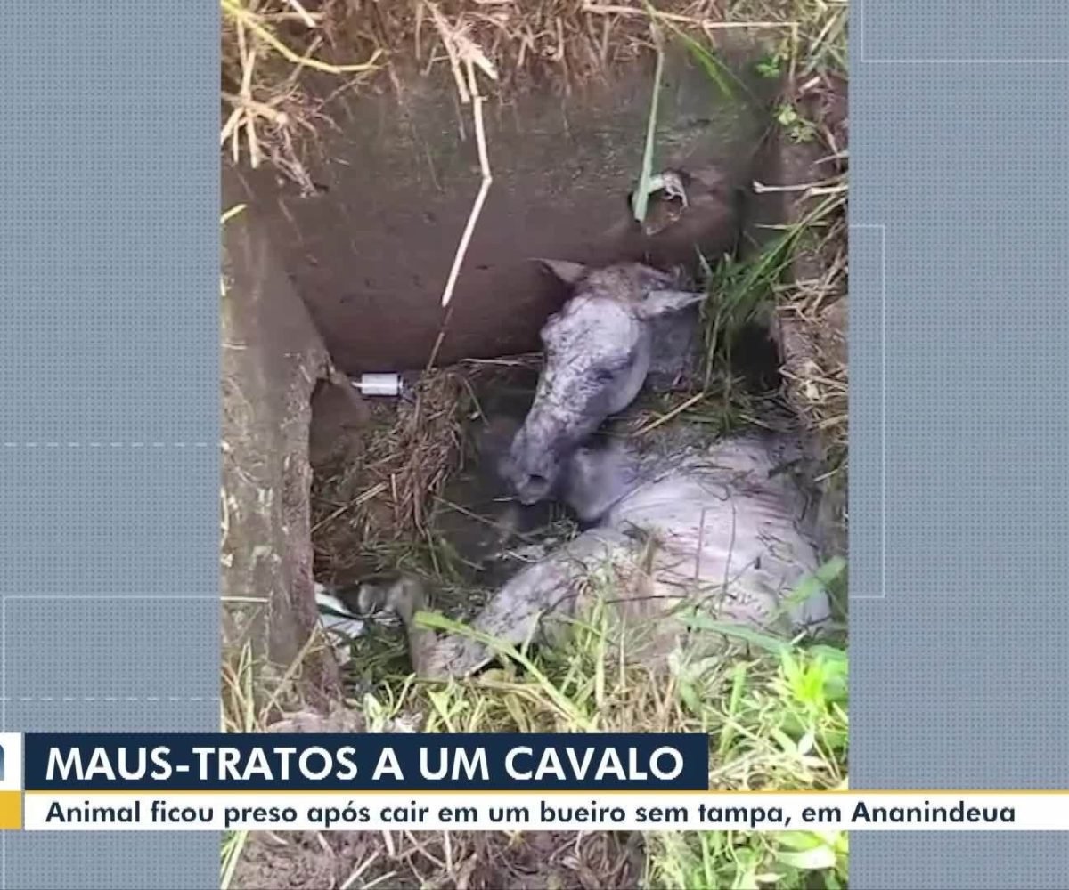 oficial-wagner-moura-instagram.ghtml","video":null},"created":"2026-03-16T02:00:52.700Z","draft":false,"feedId":"b904b43