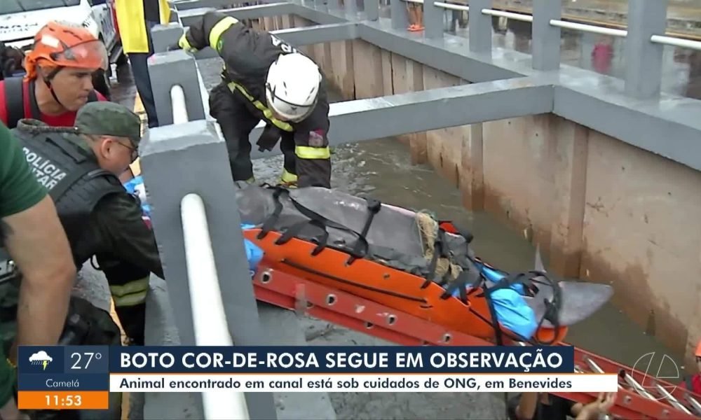 abuso sexual em Ananindeua 8 3min Obra da Av. Liberdade deve ser entregue este m