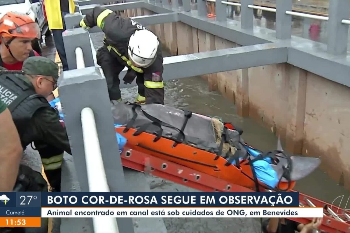 abuso sexual em Ananindeua 8 3min Obra da Av. Liberdade deve ser entregue este m