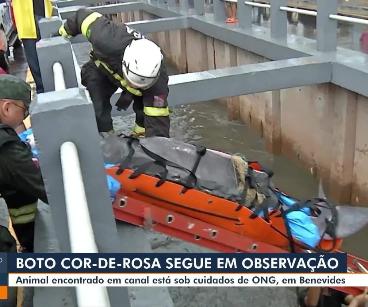 abuso sexual em Ananindeua 8 3min Obra da Av. Liberdade deve ser entregue este m