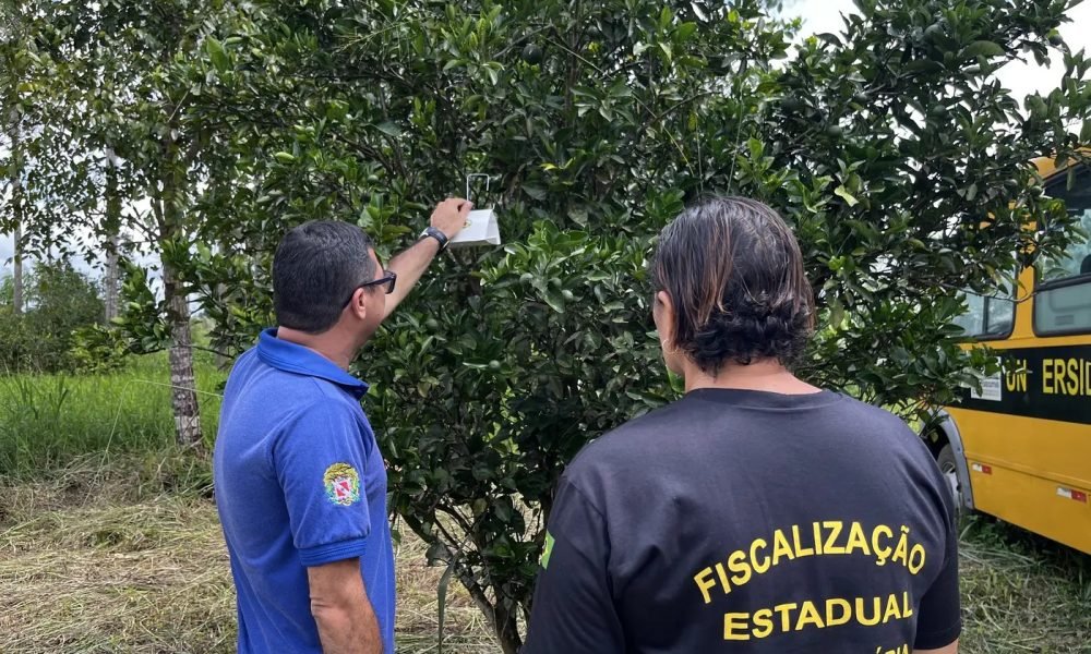 carambola Agência Pará/Divulgação