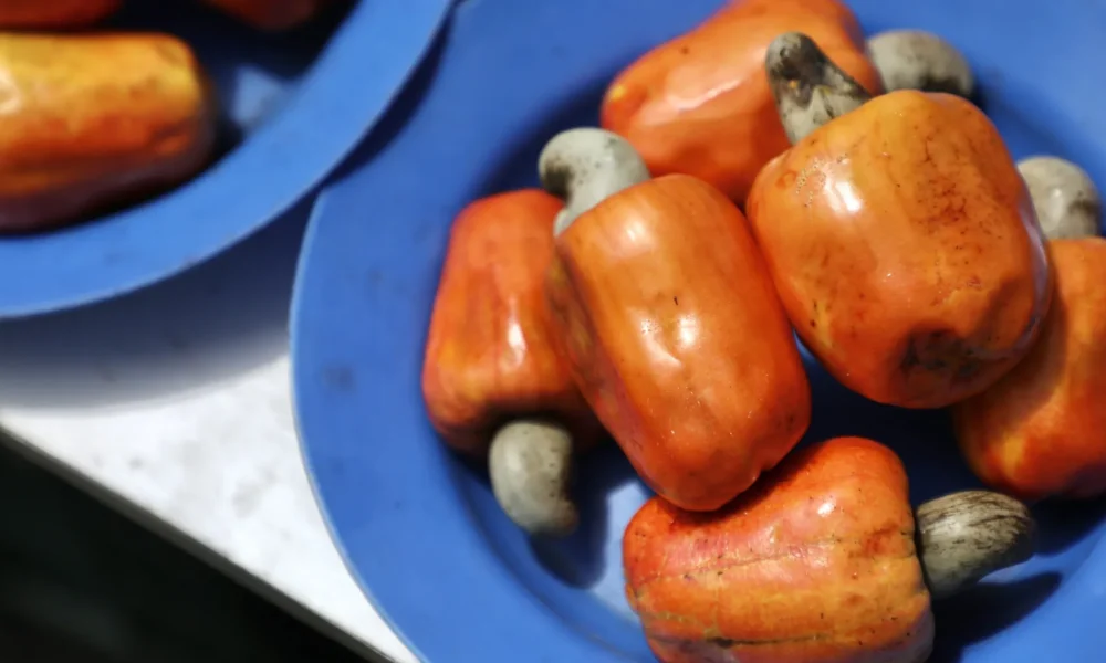 As frutas mais venenosas (e perigosas) do mundo