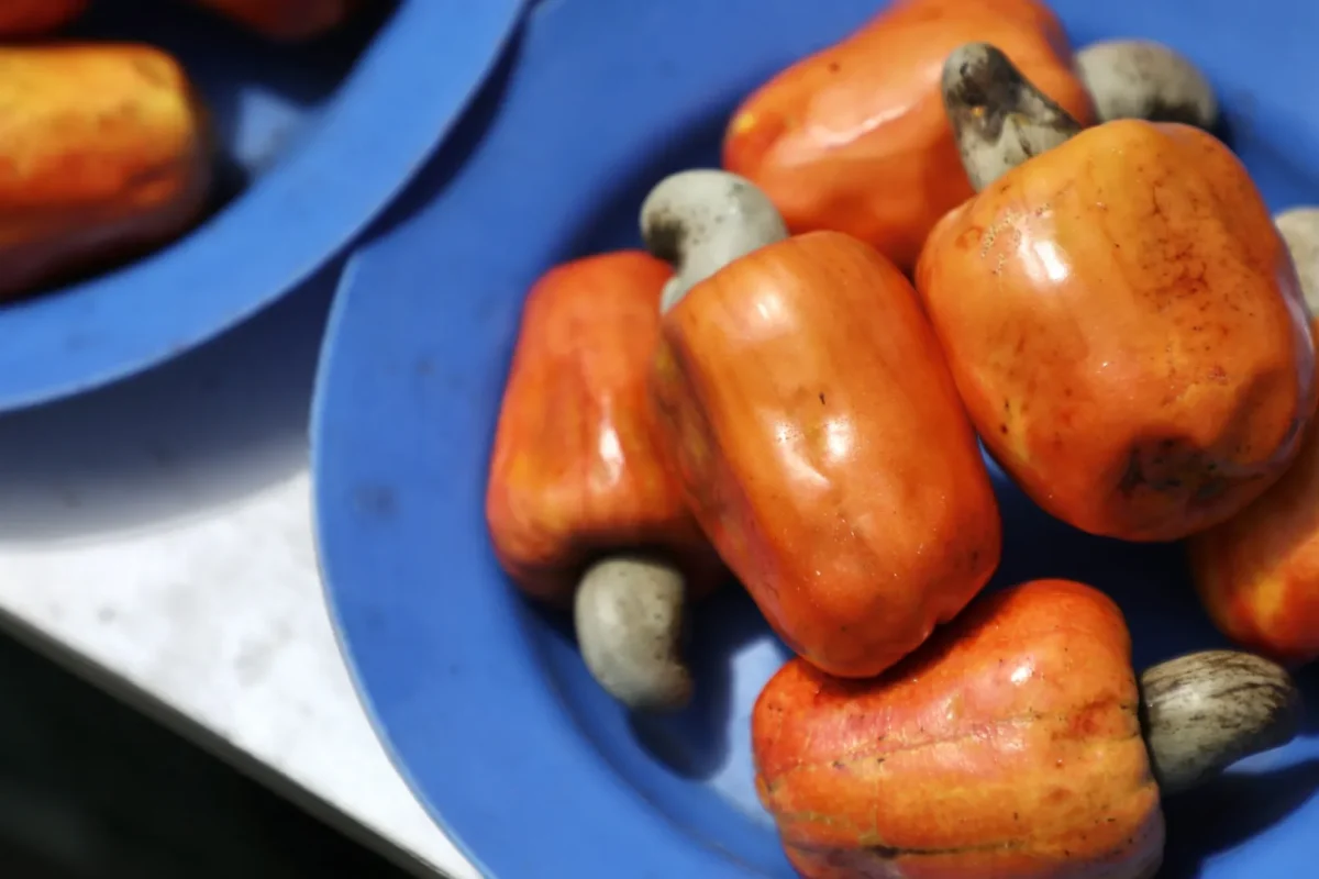 As frutas mais venenosas (e perigosas) do mundo