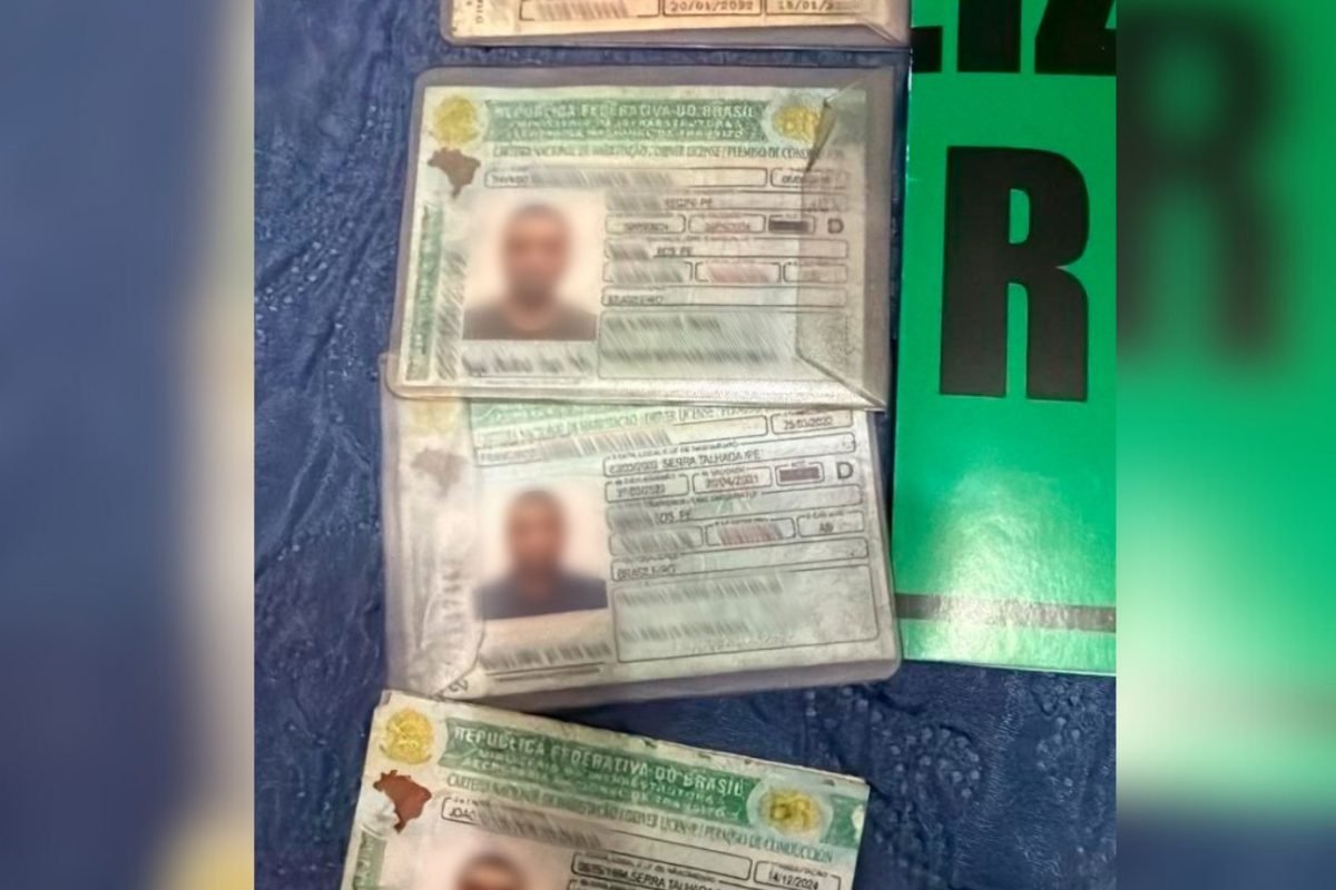 e-montagem-vertical-66-.png" />