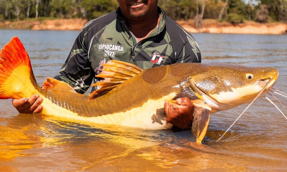 COP15 aprova proteção para bagres gigantes da Amazônia e ariranhas