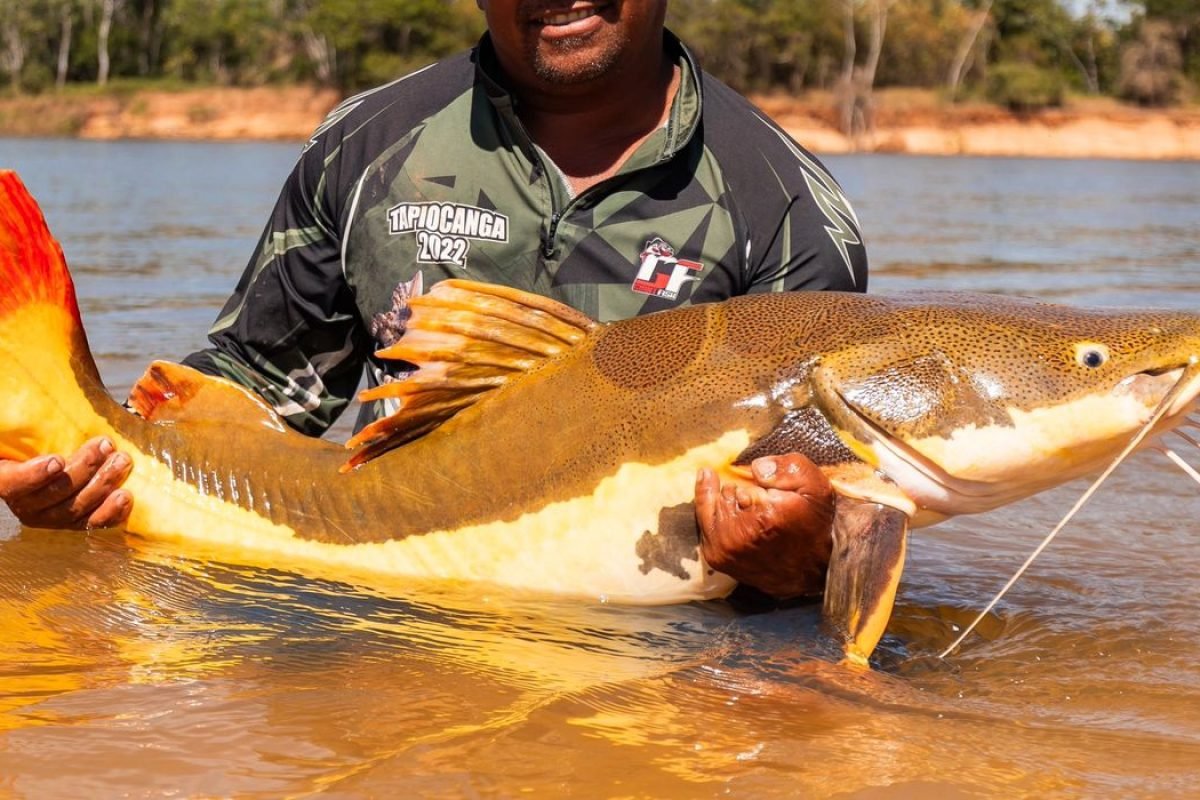 COP15 aprova proteção para bagres gigantes da Amazônia e ariranhas