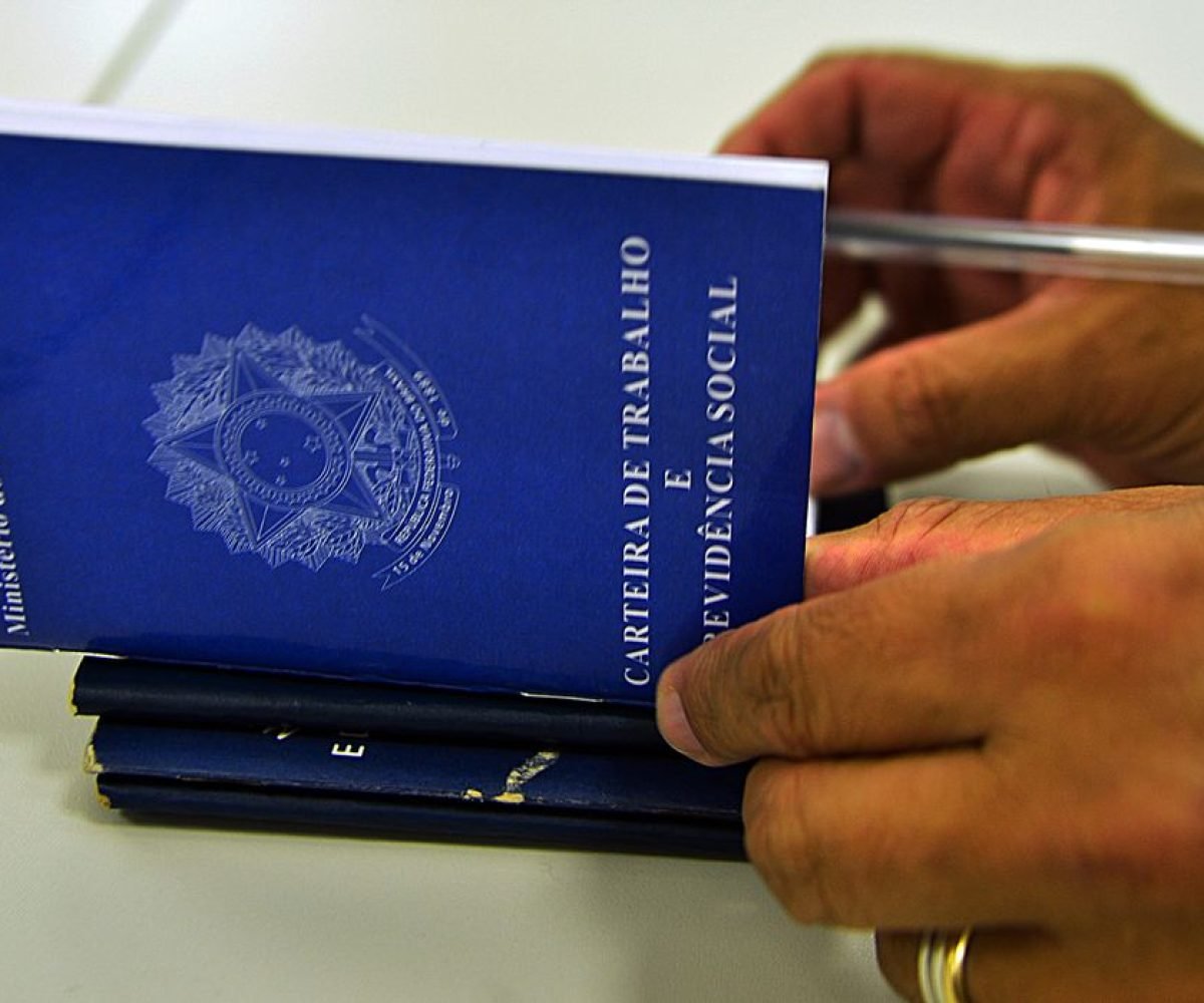 ramos de atividade, todos os cinco setores pesquisados criaram empregos formais