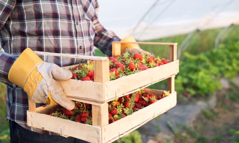 te Economia Últimas Contato Anuncie aqui Quem somos Fale conosco Anuncie aqui Qu