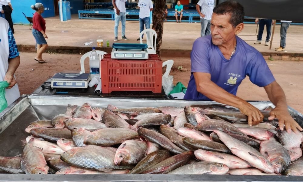 to dos Milagres (Orla do Porto dos Milagres, no início da Rua Uruará, bairro Uru