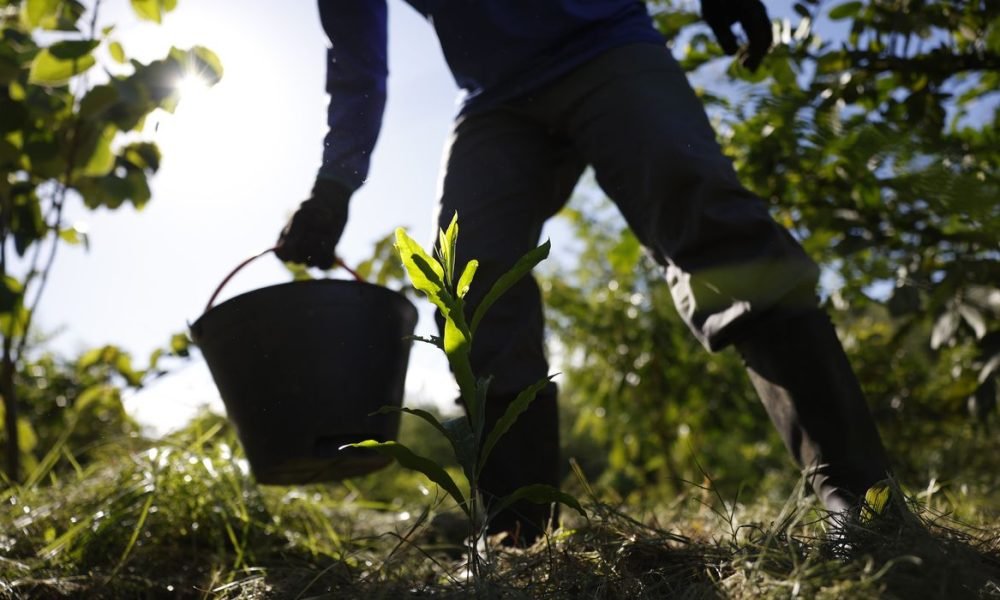 Marcelo Camargo/Agência Brasil" title="Marcelo Camargo/Agência Brasil">
