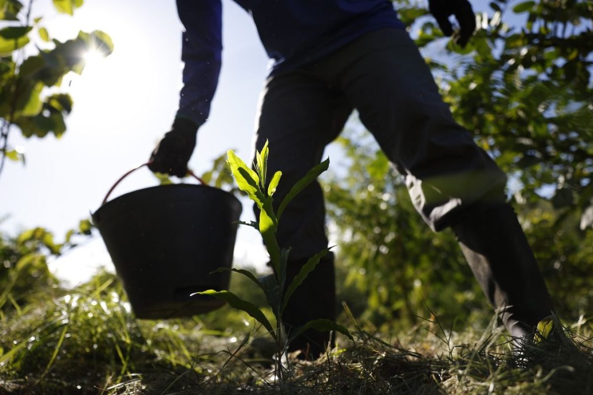 Marcelo Camargo/Agência Brasil" title="Marcelo Camargo/Agência Brasil">