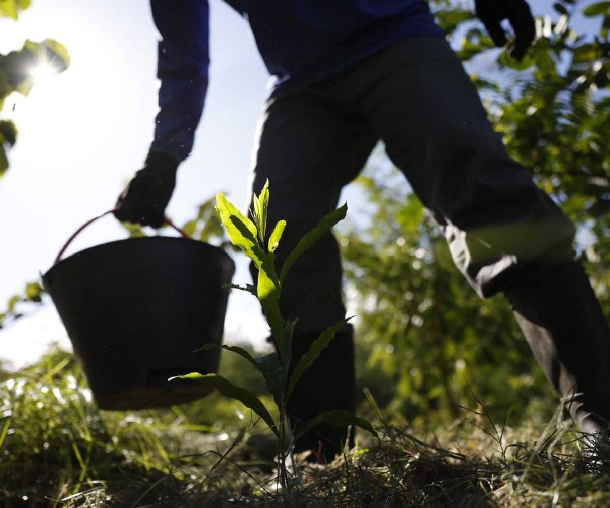 Marcelo Camargo/Agência Brasil" title="Marcelo Camargo/Agência Brasil">