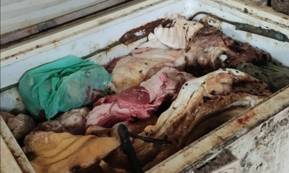 fiscais estaduais agropecuários médicos veterinários. Durante a operação, os age