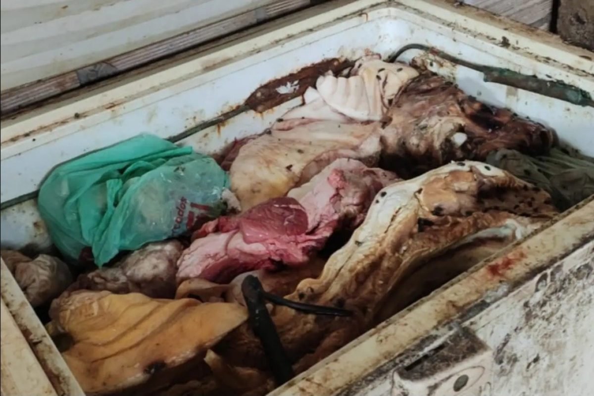 fiscais estaduais agropecuários médicos veterinários. Durante a operação, os age