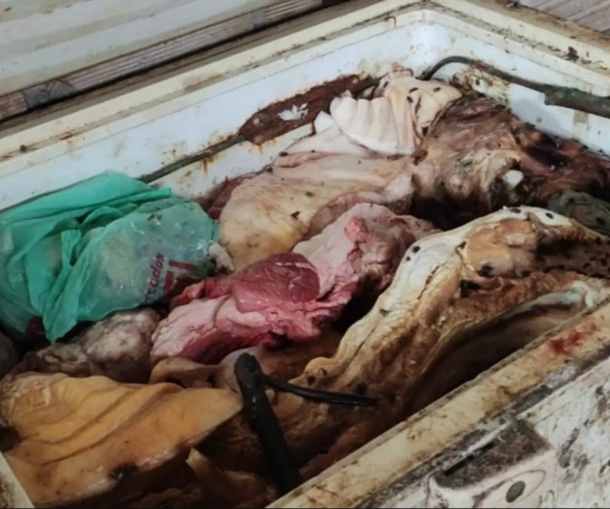 fiscais estaduais agropecuários médicos veterinários. Durante a operação, os age