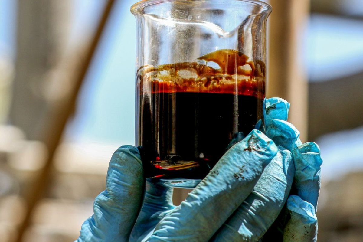 barril e caminhando para sua maior alta absoluta desde 2020. O petróleo WTI é ex