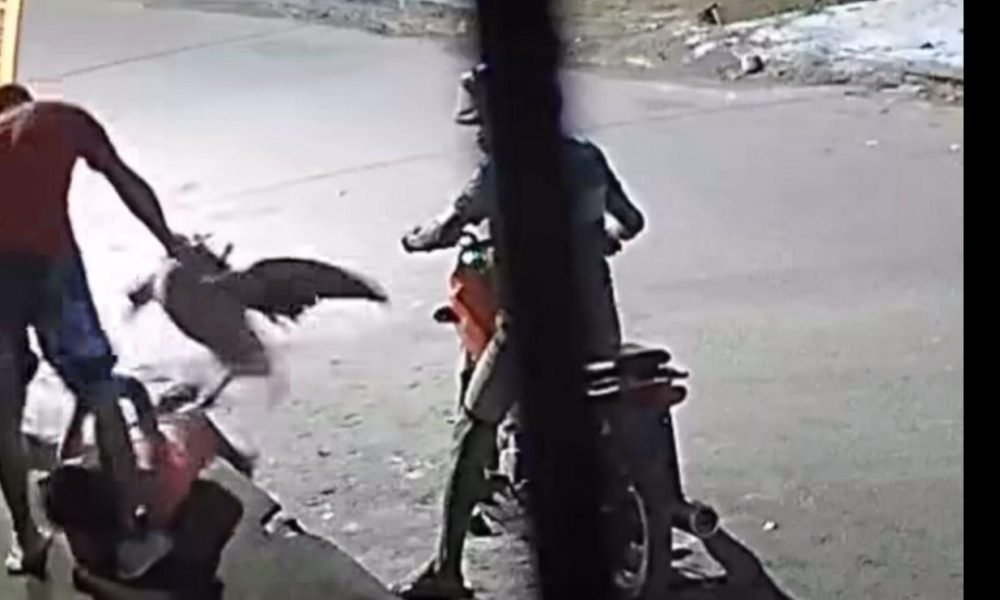 dois homens que chegaram em uma motocicleta. A dupla anunciou o assalto e levou