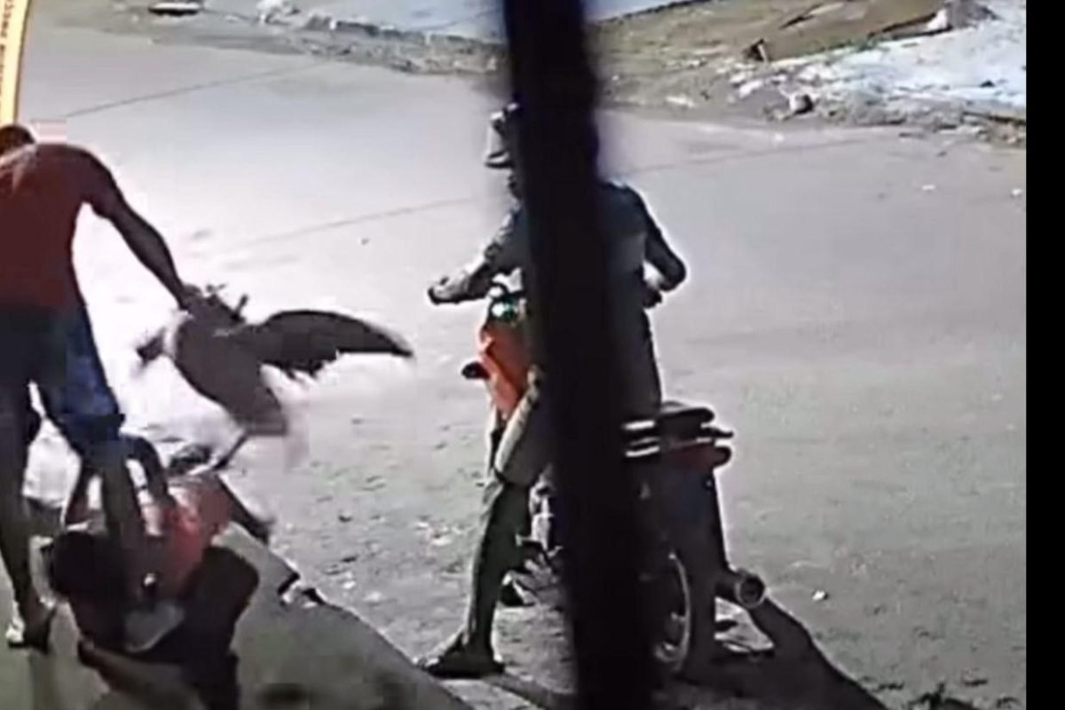 dois homens que chegaram em uma motocicleta. A dupla anunciou o assalto e levou