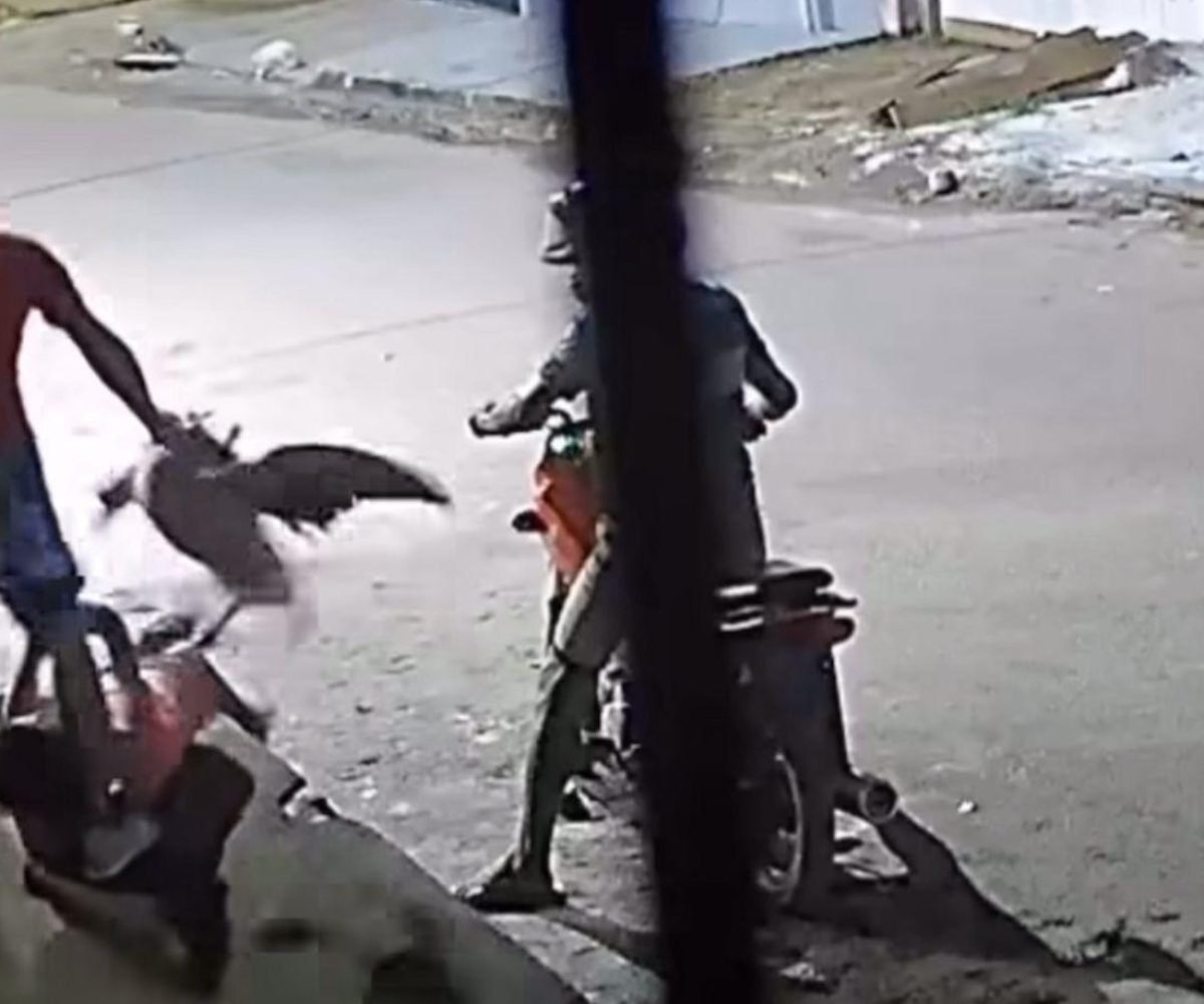 dois homens que chegaram em uma motocicleta. A dupla anunciou o assalto e levou