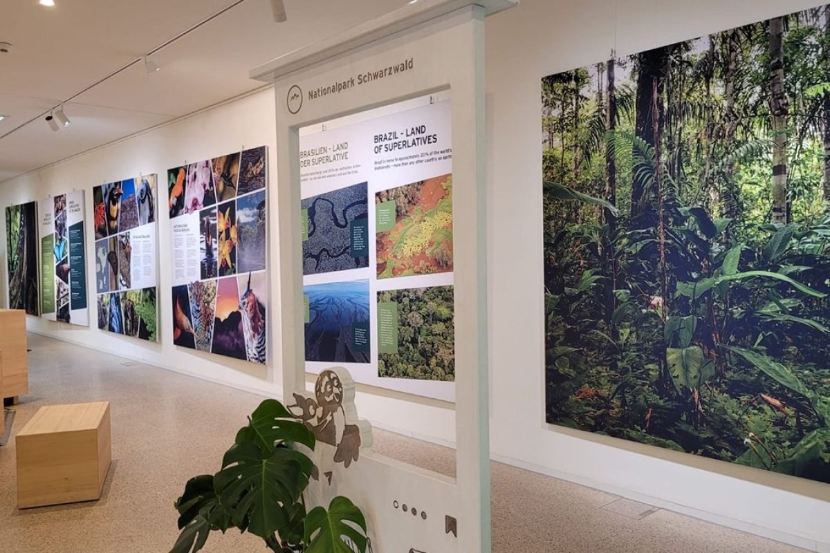 Parque Nacional da Floresta Negra da Alemanha/Divulgação" title="Parque Nacional da Floresta Negra d
