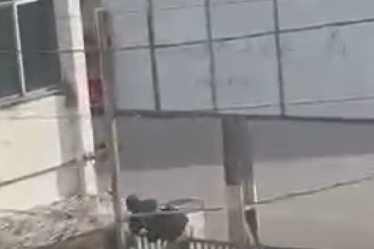 pessoas em situação de rua, que estariam utilizando o espaço para ações criminos