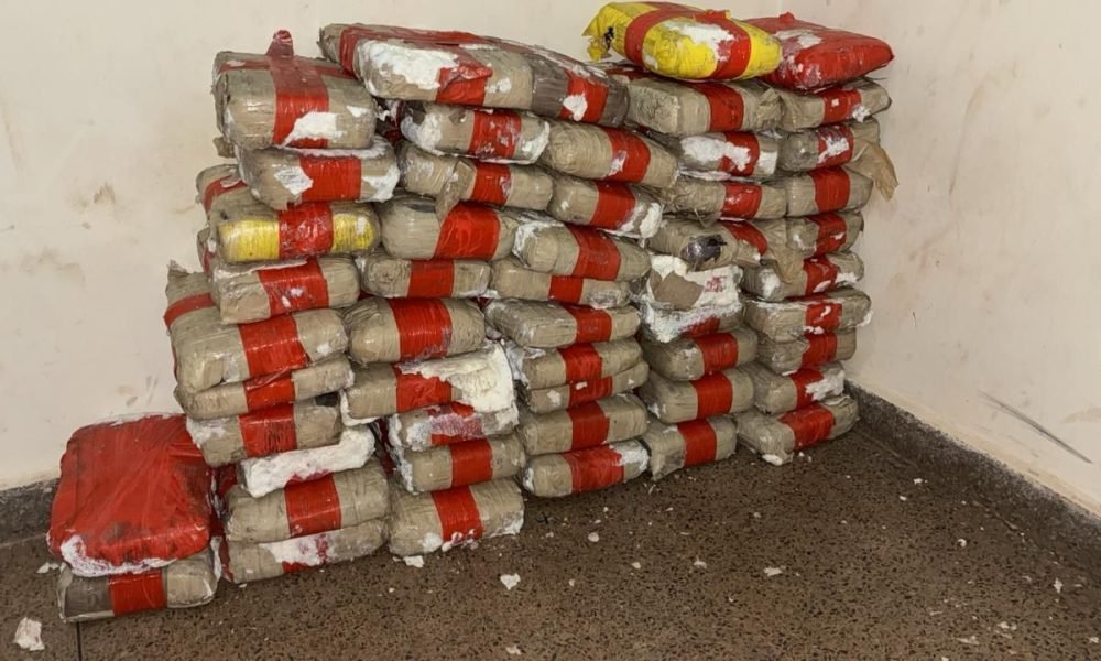 kg de drogas foram apreendidos em Juruti Polícia Civil/Divulgação