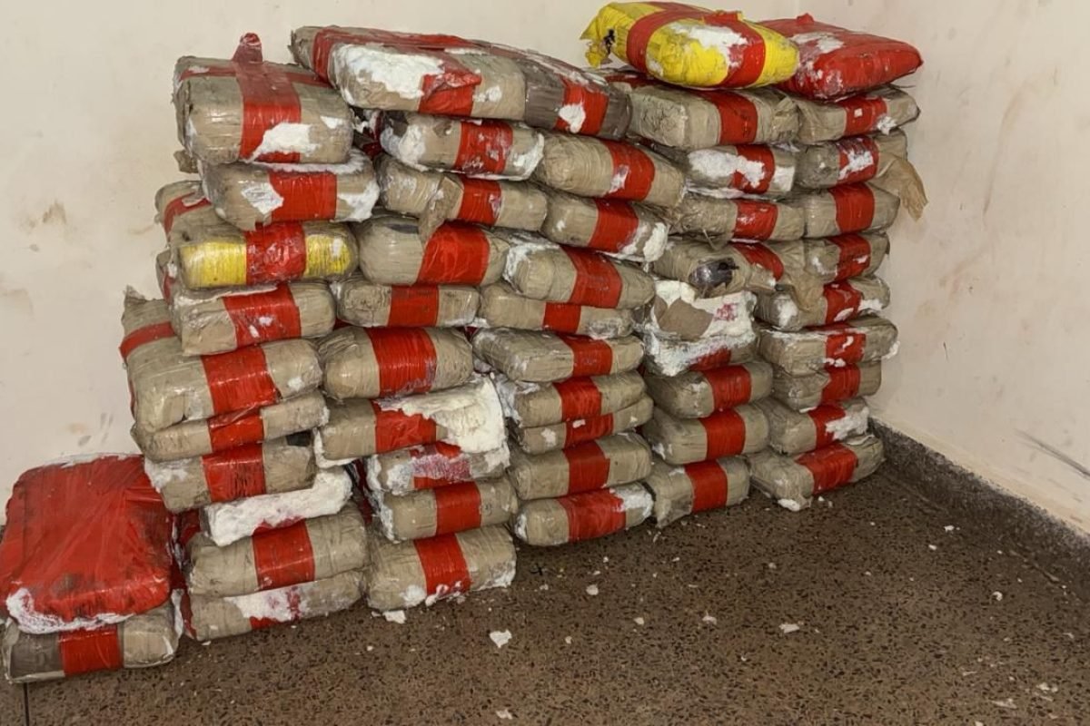 kg de drogas foram apreendidos em Juruti Polícia Civil/Divulgação