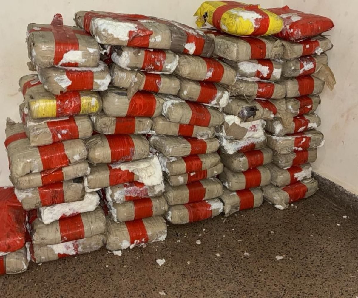 kg de drogas foram apreendidos em Juruti Polícia Civil/Divulgação