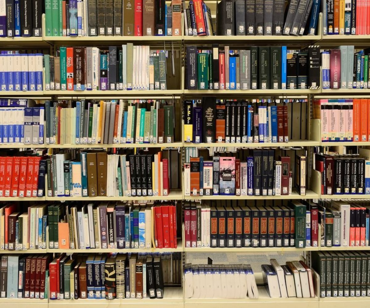 tal gov.br . Idiomas Ao anunciar o lançamento do aplicativo, o presidente Lula a