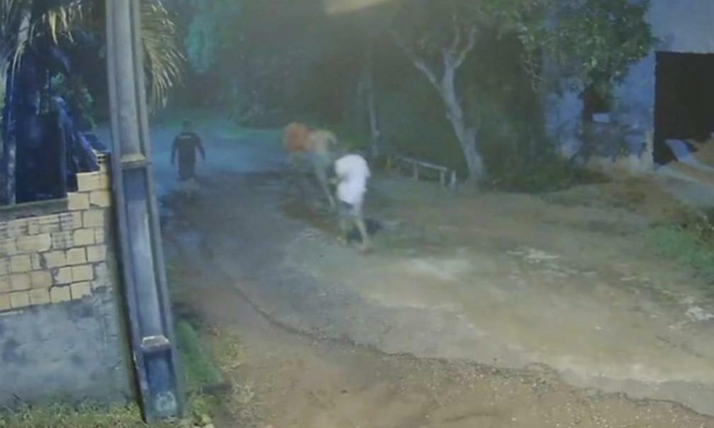 equipes da Polícia Militar (PM) e encaminhados para a Delegacia de Santa Izabel