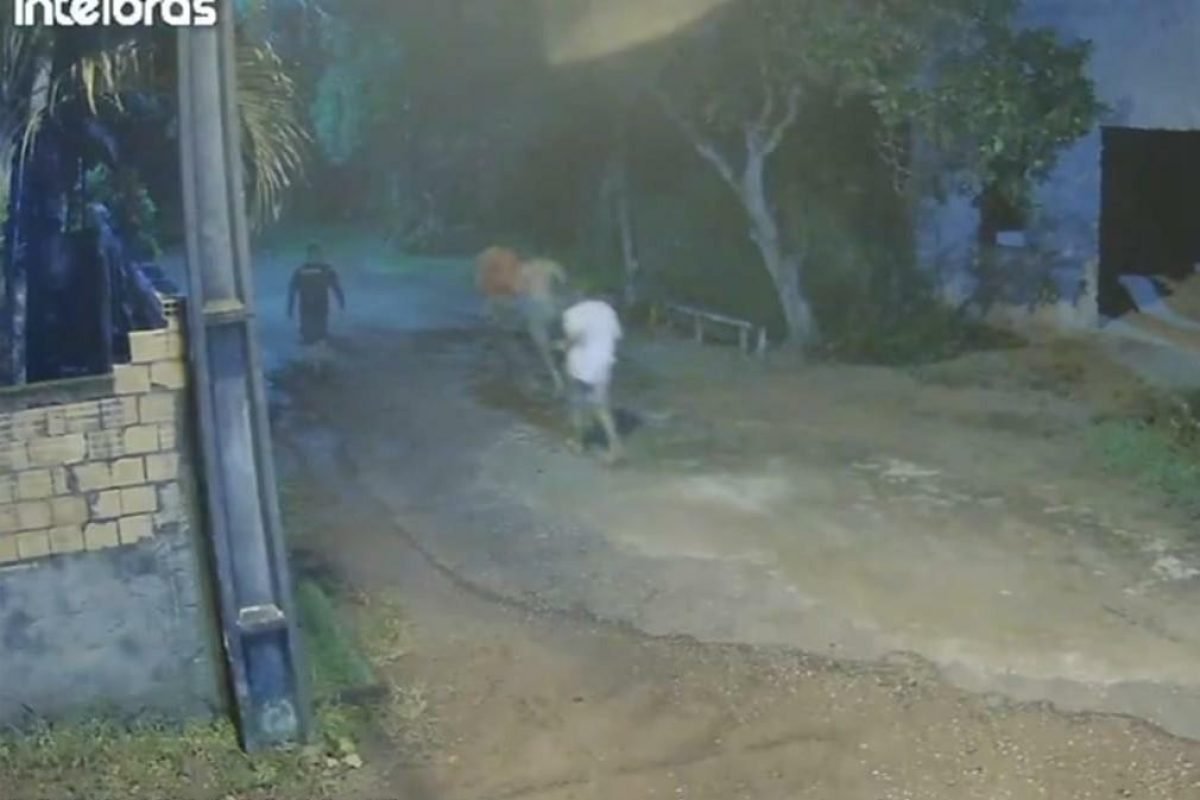 equipes da Polícia Militar (PM) e encaminhados para a Delegacia de Santa Izabel