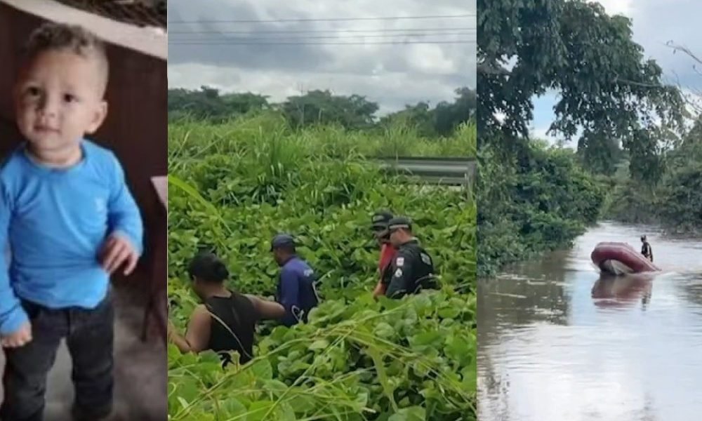 uma paisagem composta por áreas de vegetação e rio, além da passagem de uma rodo