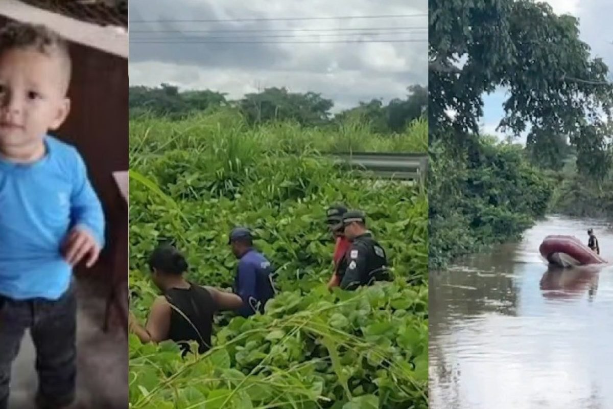 uma paisagem composta por áreas de vegetação e rio, além da passagem de uma rodo