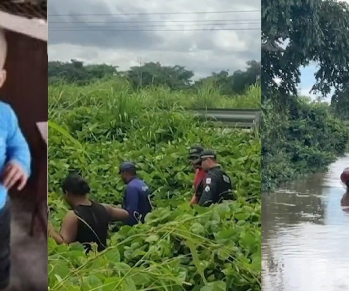 uma paisagem composta por áreas de vegetação e rio, além da passagem de uma rodo