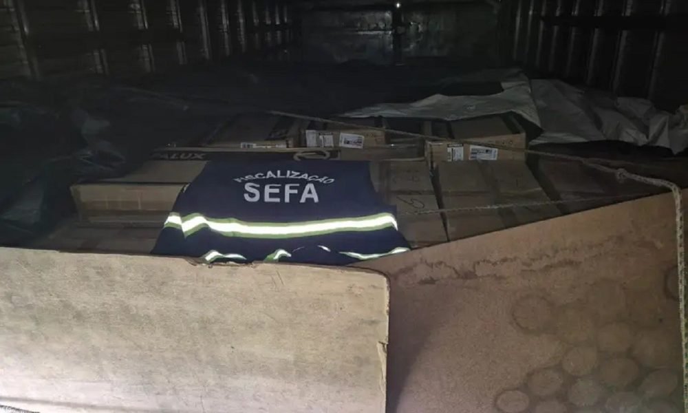 tando mercadorias provenientes do município de Paraíso do Tocantins (TO). Segund