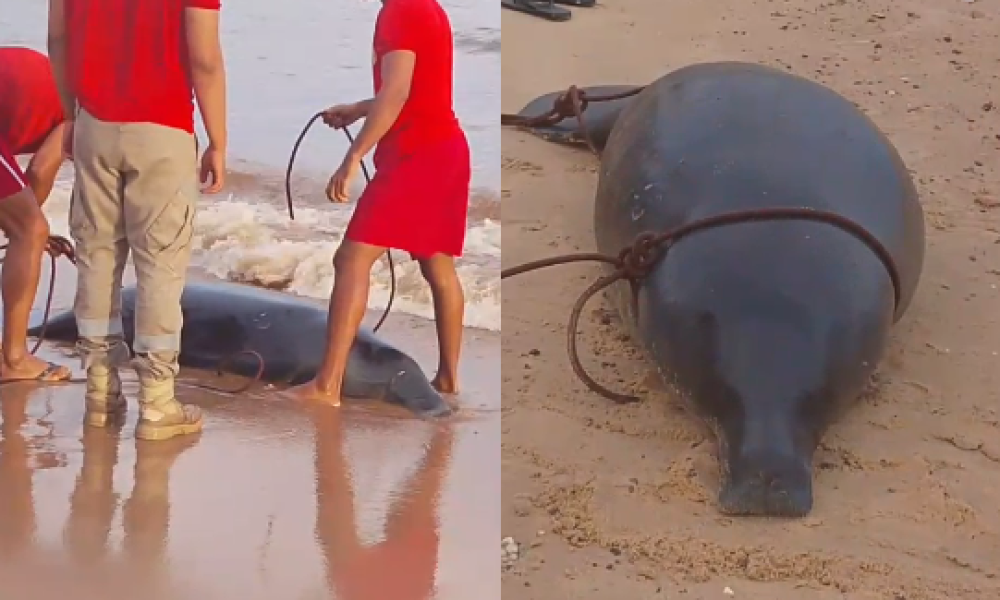 moradores nas proximidades da rampa de acesso. As pessoas no local acionaram o C