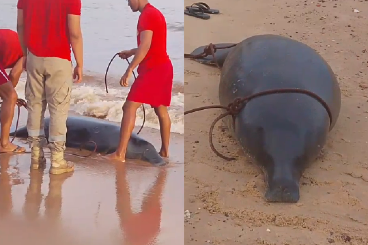 moradores nas proximidades da rampa de acesso. As pessoas no local acionaram o C