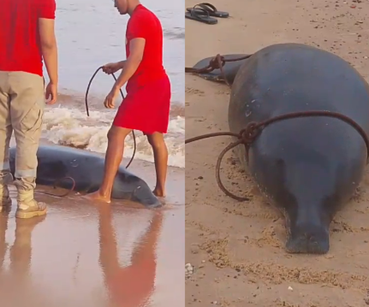 moradores nas proximidades da rampa de acesso. As pessoas no local acionaram o C